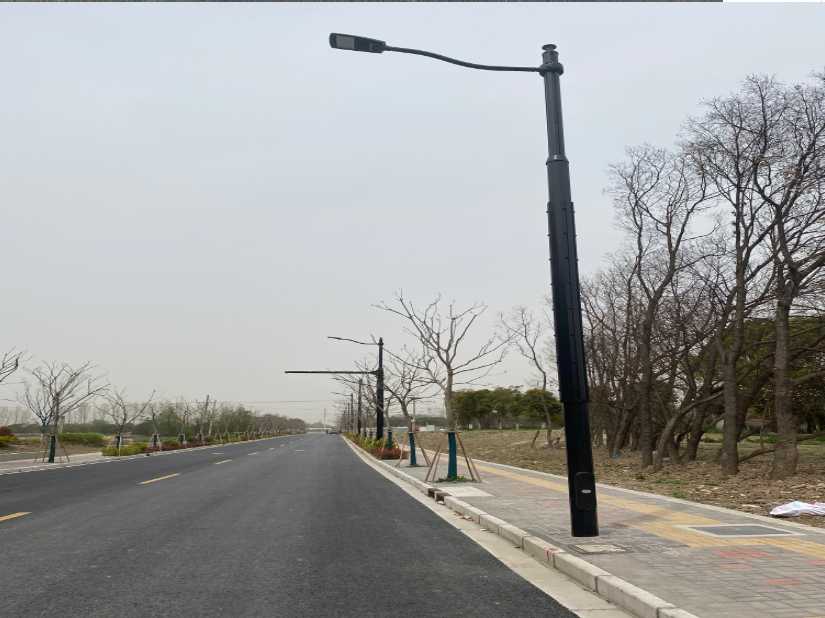湛江市上海综合杆 太阳能路灯工程